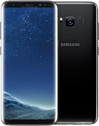 Samsung  Samsung Galaxy S8 (Dual Sim)