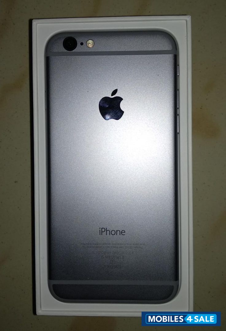 Apple  iPhone 6