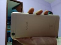 Gold Vivo  Y55s