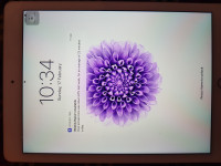 Apple  Ipad air 2