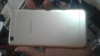 Gold Vivo  Y53