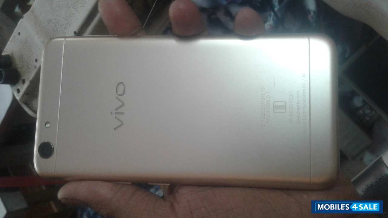 Gold Vivo  Y53