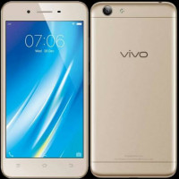 Vivo  y53