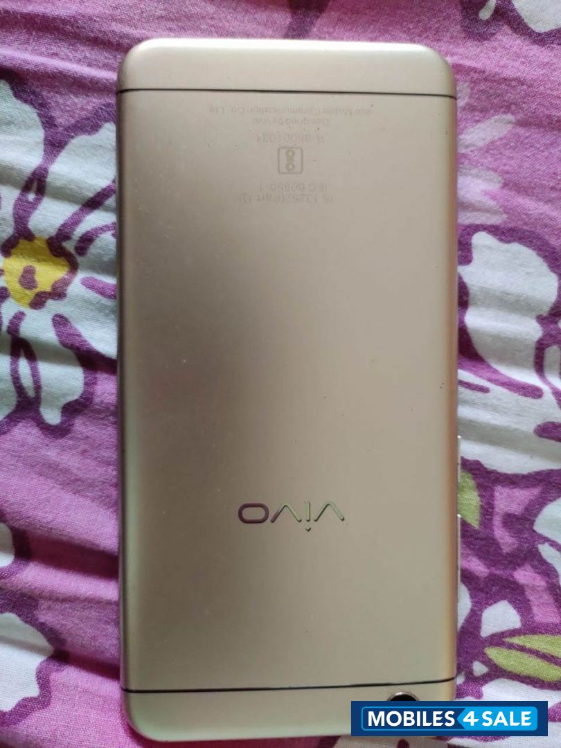 Gold Vivo  V5