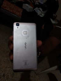 White Vivo  v3