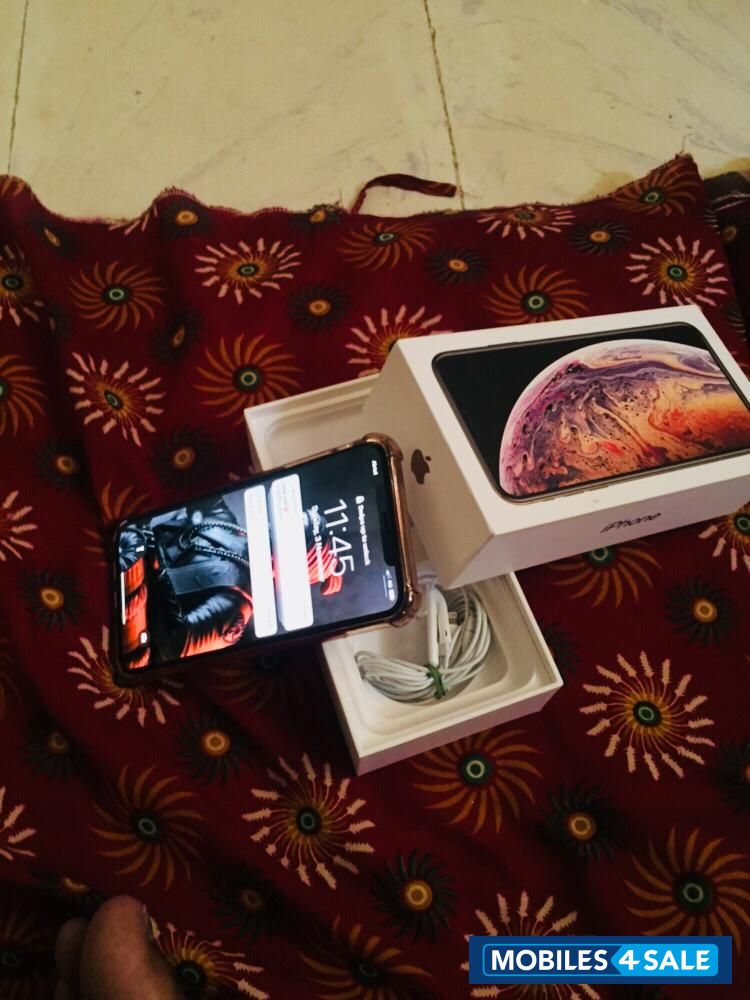 Gold Apple  Xs max