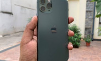 Midnight Green Apple  iphone 11pro