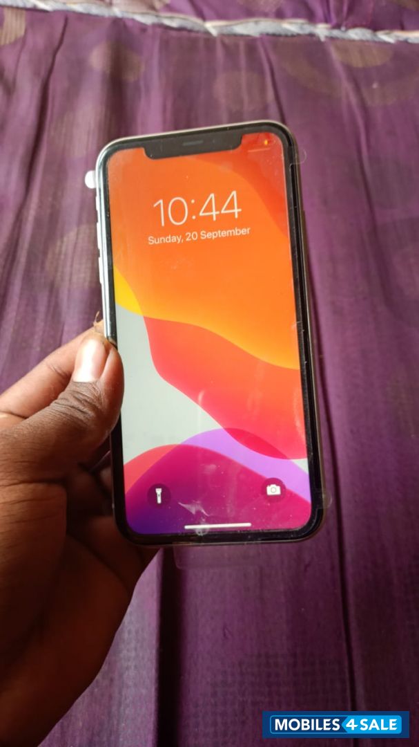 Apple  iPhone 11