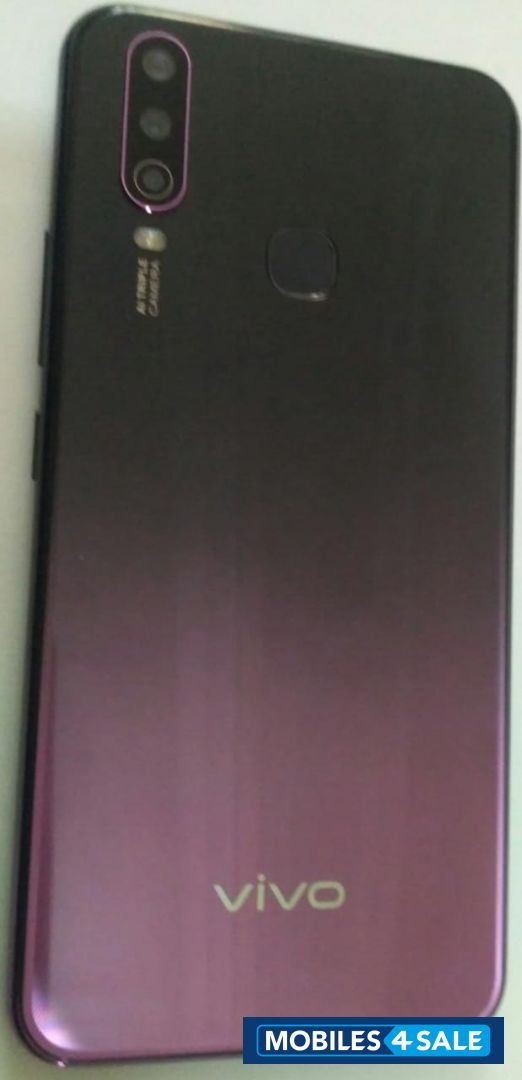 Vivo  Y 17