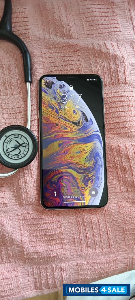 Silver Apple  Xs Max