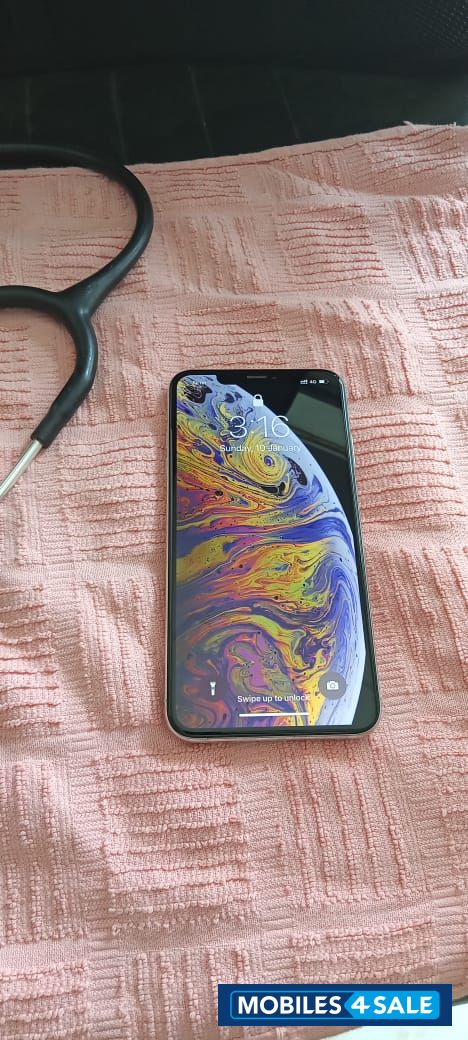 Silver Apple  Xs Max