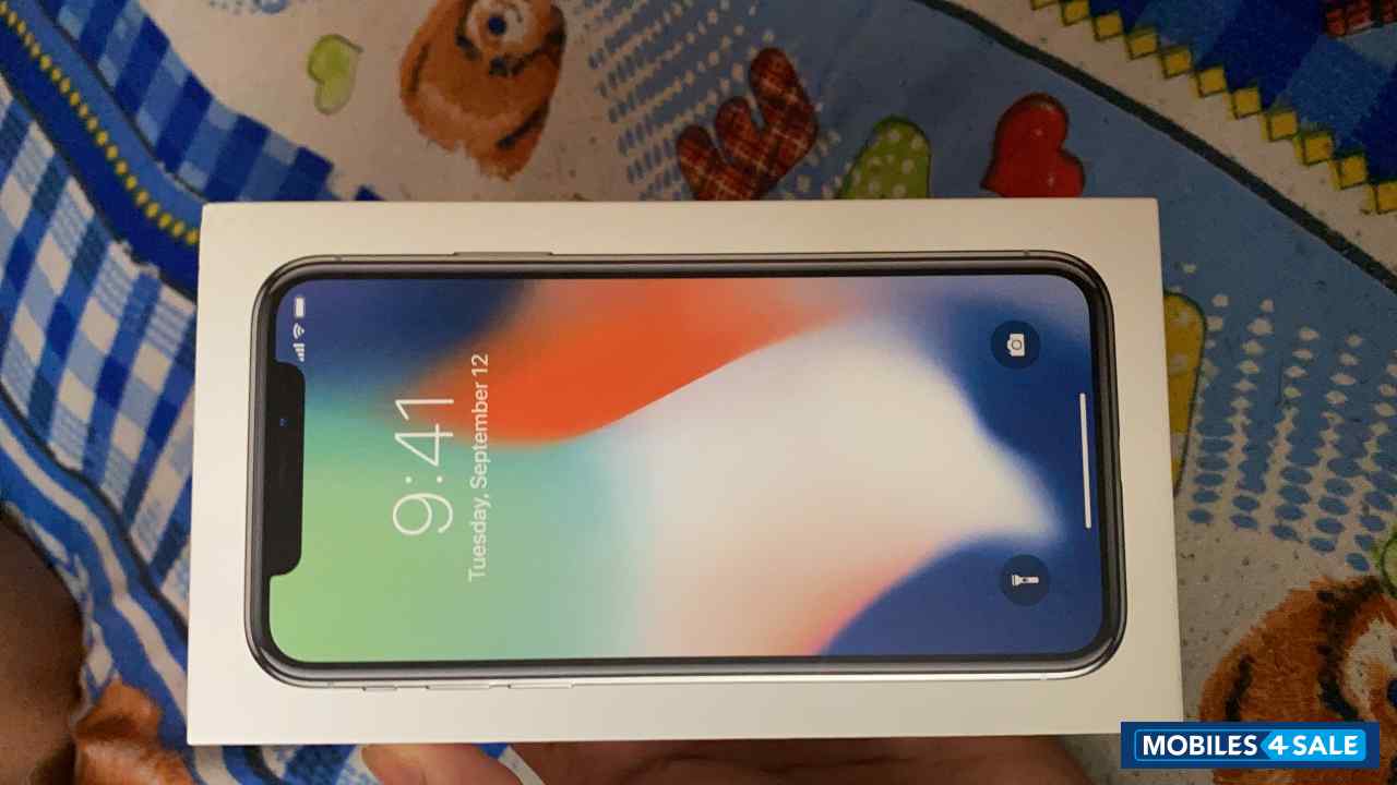 Apple  iPhone X