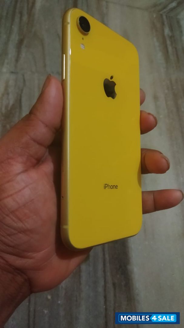 Apple  Xr