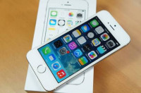 White Apple iPhone 5S