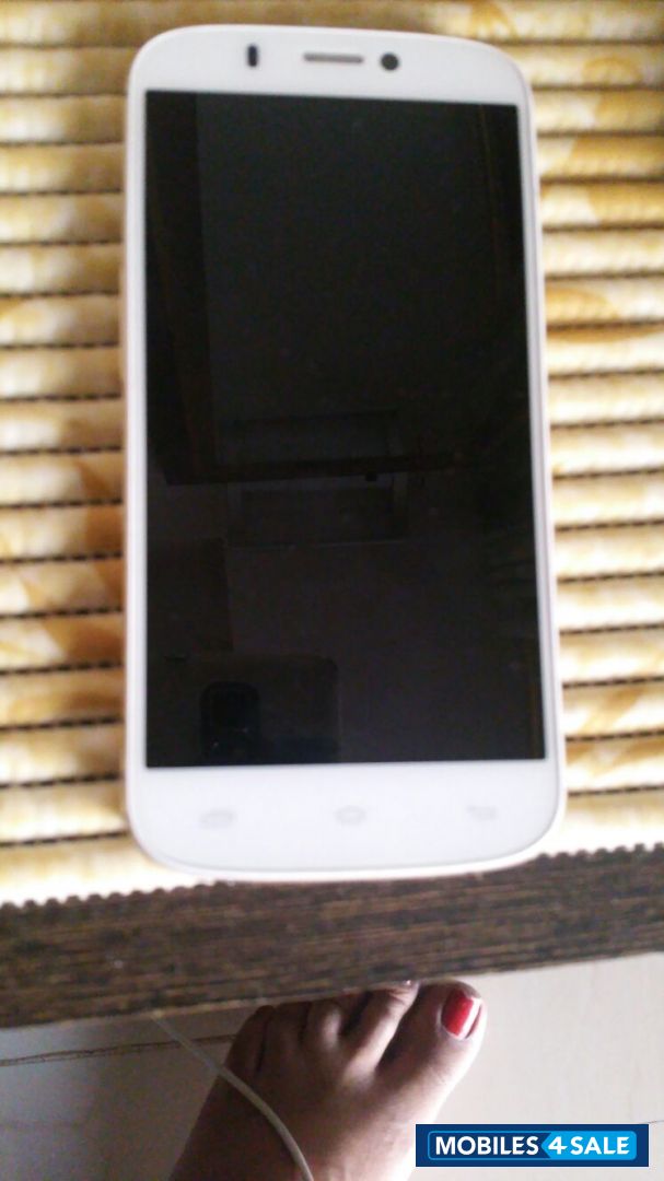 White And Gold Micromax Canvas Gold A300