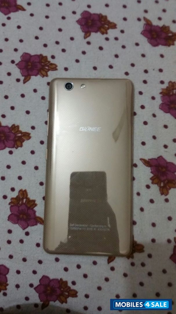 Gold Gionee Elife S Plus