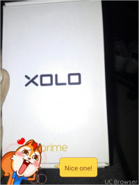 Gold Xolo Prime