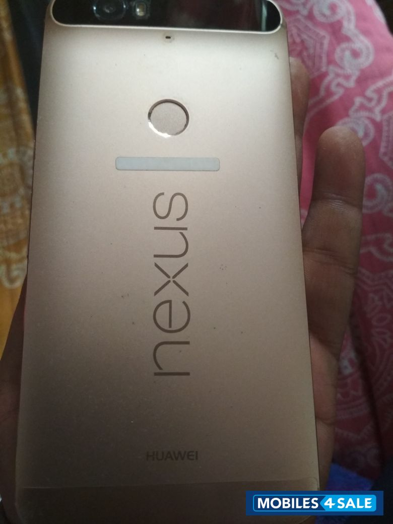 Golden Google Nexus 6P