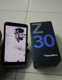 Black BlackBerry Z30