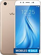 Gold Vivo V5