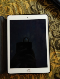 Apple  iPad air 2