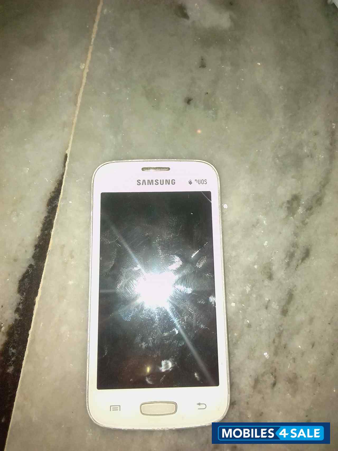 Samsung  galaxy star pro