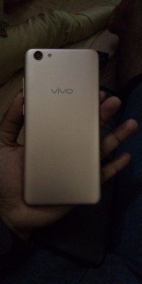 Vivo  vivo1724