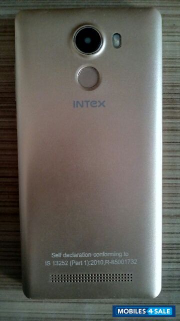 Golden Intex  aqua secure