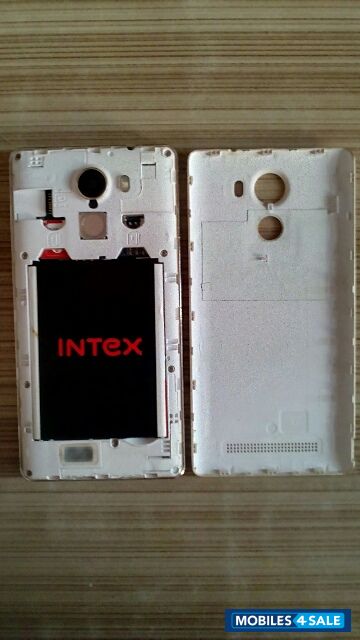 Golden Intex  aqua secure