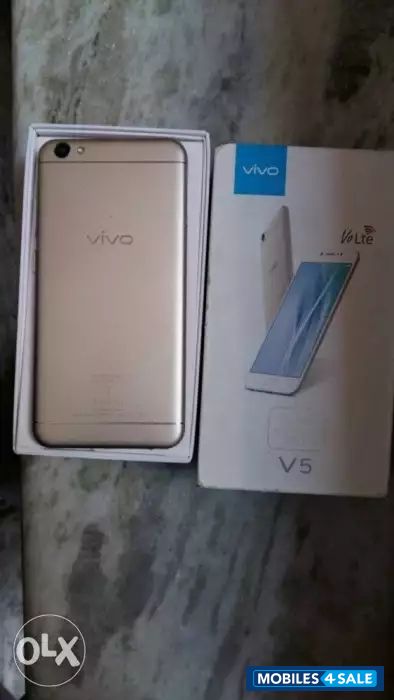 White + Gold Vivo V5