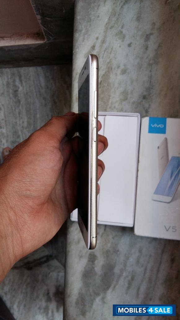 White + Gold Vivo V5