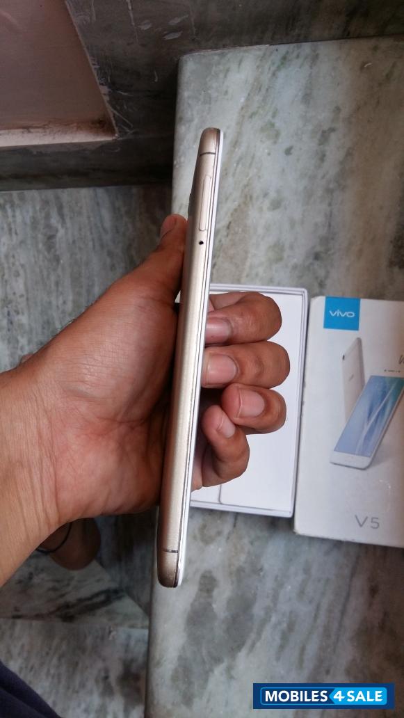 White + Gold Vivo V5