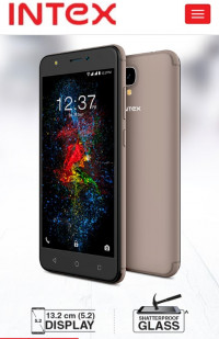 Intex  AQUA LIONS T1