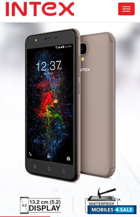 Intex  AQUA LIONS T1