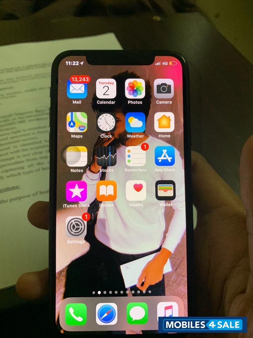 Apple  Iphone x 256gb