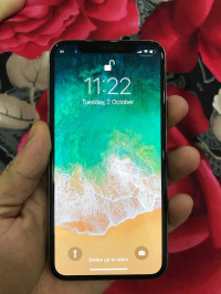 Apple  IphoneX