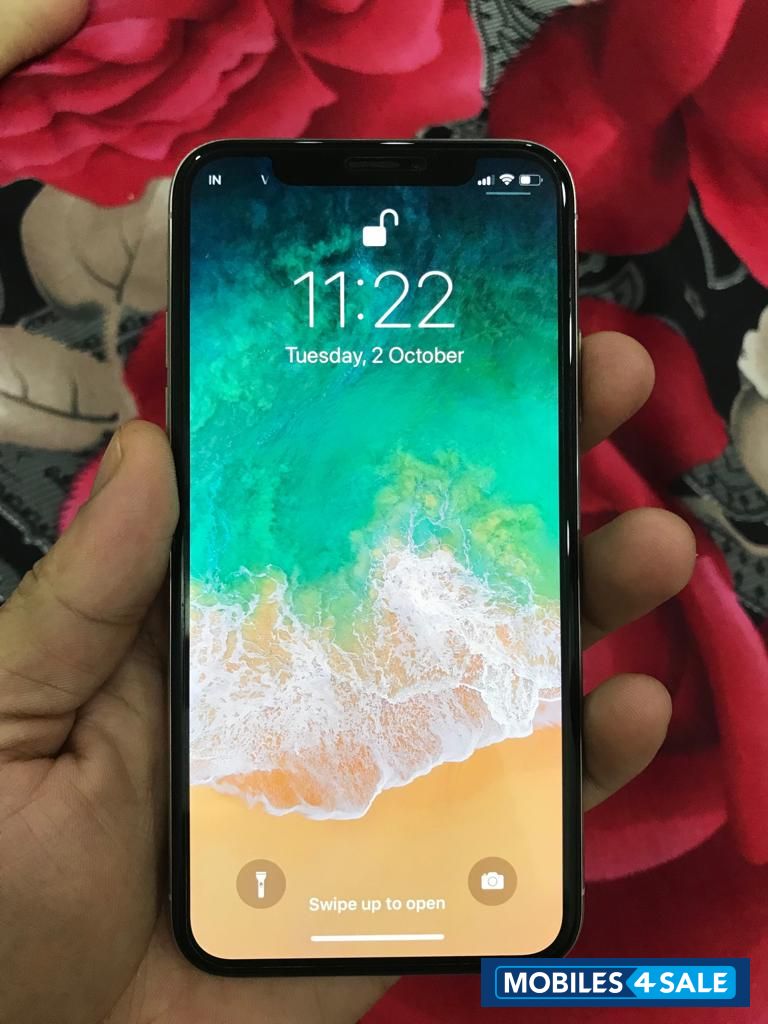 Apple  IphoneX