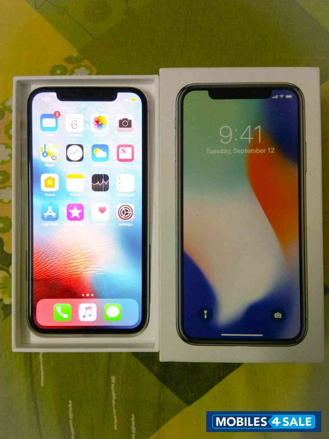 Silver Apple  Apple iPhone x