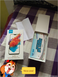 Vivo  V9 youth