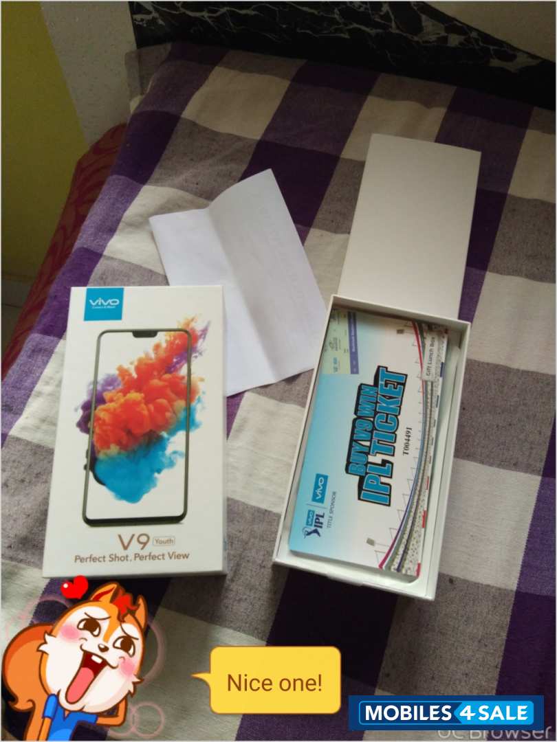 Vivo  V9 youth