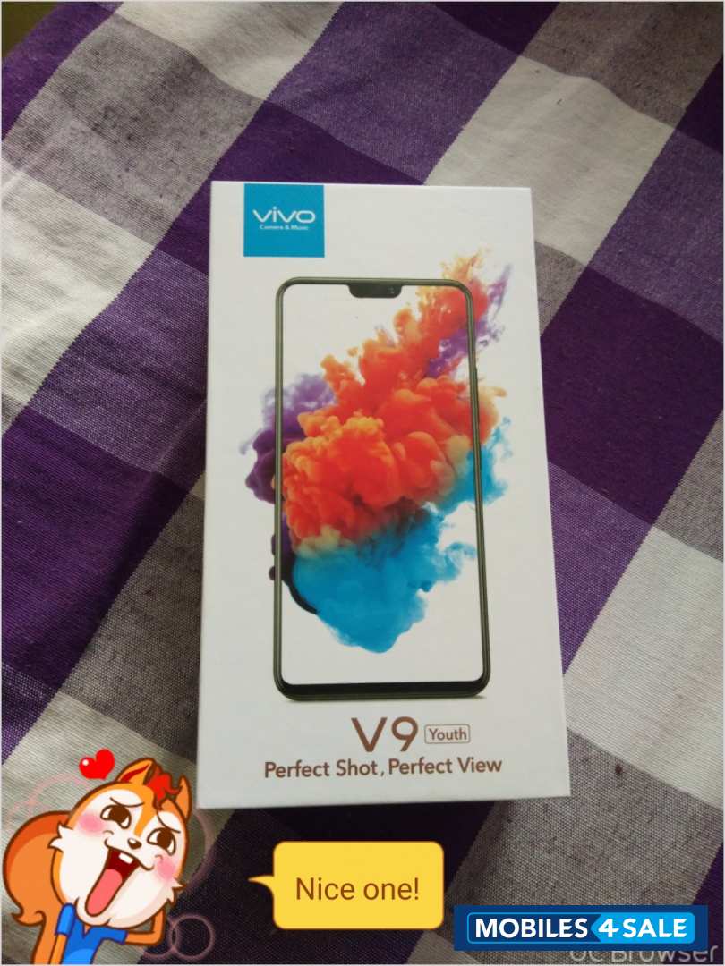 Vivo  V9 youth