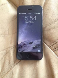 Apple  iPhone 5