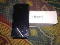 Apple  iPhone 5s