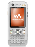 Brown Sony Ericsson W890