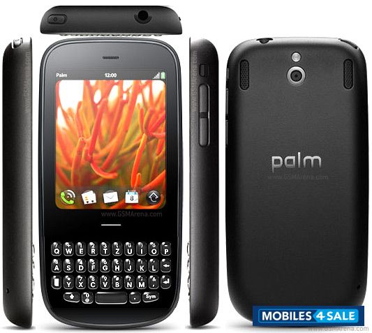 Black Palm  Pixi Plus