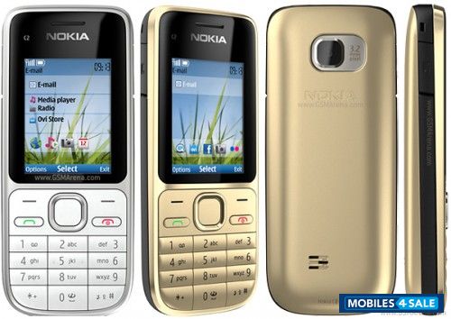 Silver Nokia C2-01