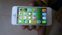 White(64gb) Apple iPhone 5