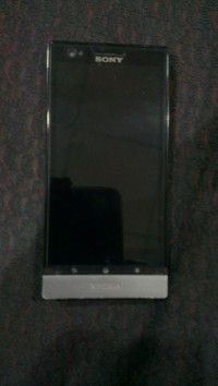 Black & Grey(front & Back) Sony Xperia P