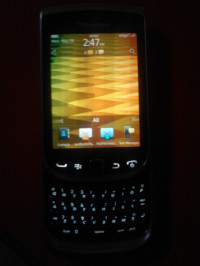 Silver BlackBerry Torch 9810