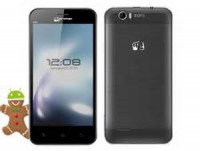 Gray Micromax A40 Bolt